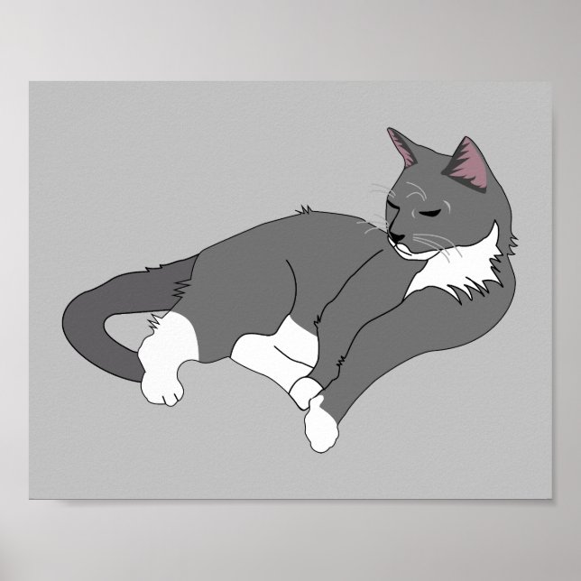 Poster Chat gris et blanc Tuxedo (Devant)