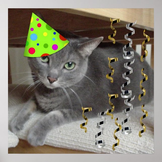 Poster Chat gris fête d'anniversaire (Devant)