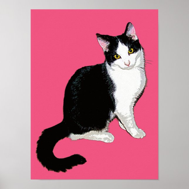 Poster Chat Kitty, noir et blanc sur rose chaud (Devant)
