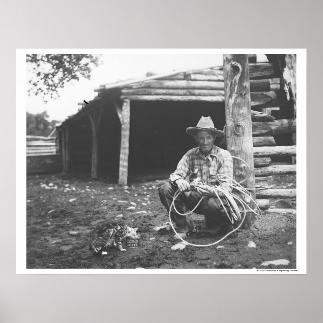 Poster Chat mangeant dans une boîte de café (Devant)