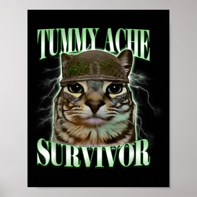 Poster Chat mignon survivant de mal de ventre (Devant)