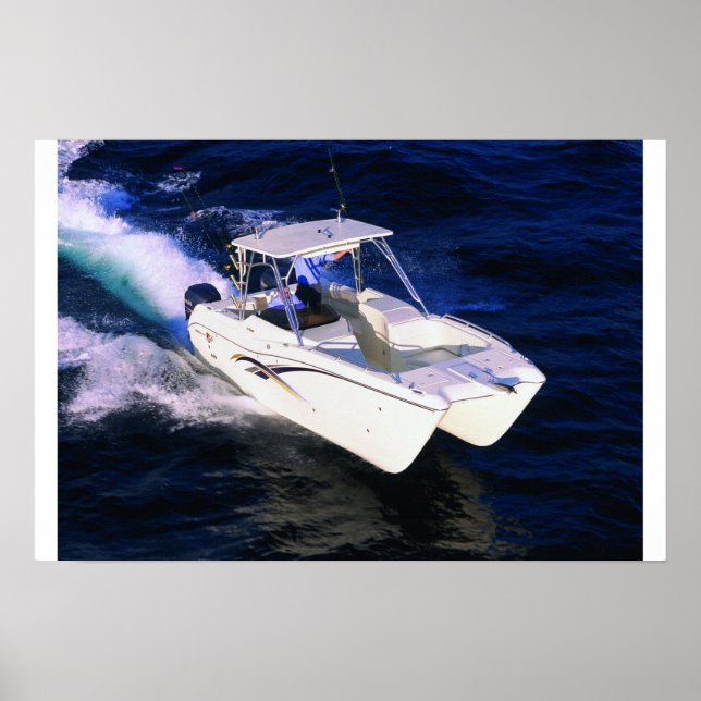 Poster Chat mondial 250DC (Devant)