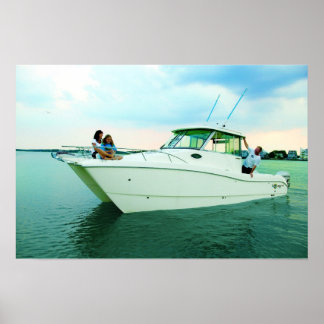 Poster Chat mondial 270EC