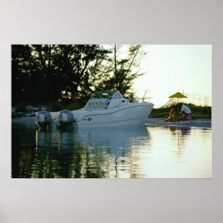 Poster Chat mondial 270SC