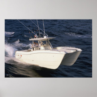 Poster Chat mondial 330TE