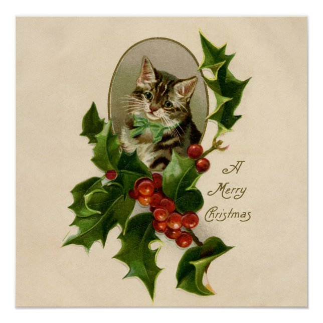 Poster Chat Noël Joyau Holly Kitten Art antique (Devant)