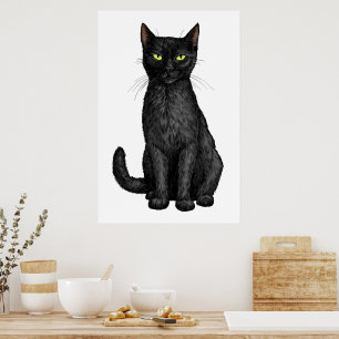 Poster chat noir