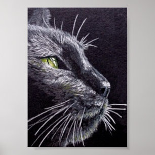 Poster Chat noir