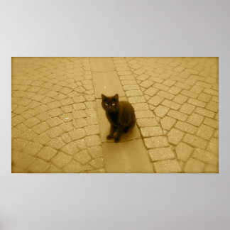Poster Chat Noir À Sepia