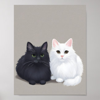 Poster chat noir blanc