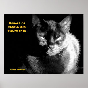 Poster Chat noir brillant avec le proverbe