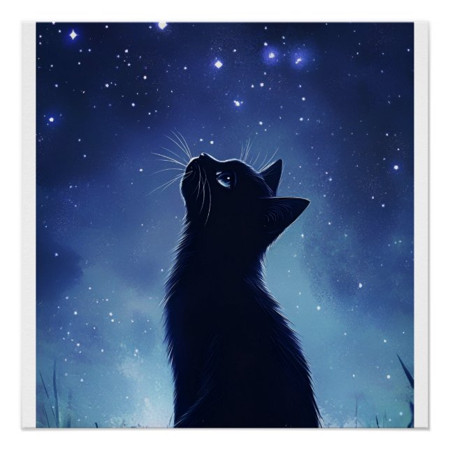 Poster Chat noir dans la prairie magique Starlit (Devant)