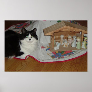Poster Chat noir et blanc de Noël