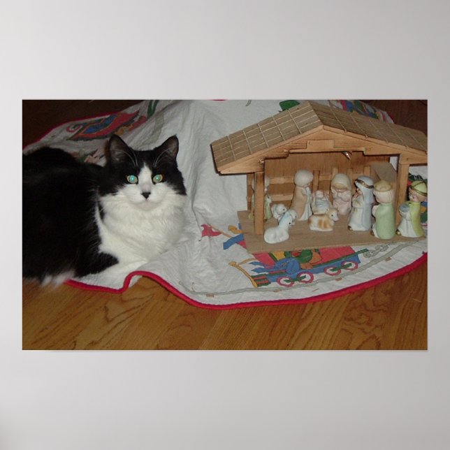 Poster Chat noir et blanc de Noël (Devant)
