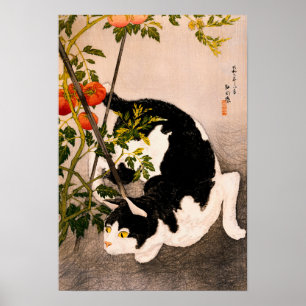 Poster Chat noir et Plante à la tomate par Takahashi Hiro
