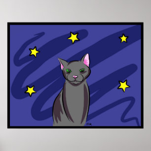 Poster Chat noir la nuit
