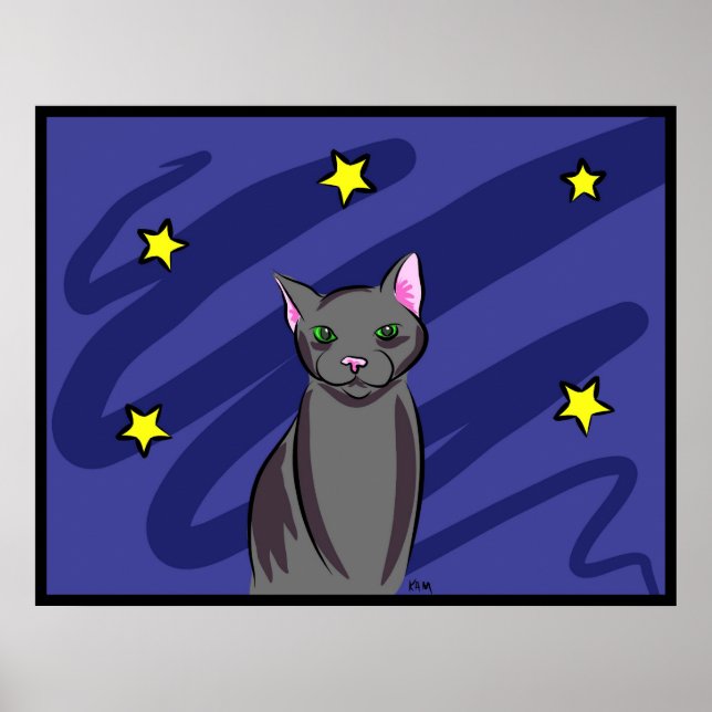 Poster Chat noir la nuit (Devant)