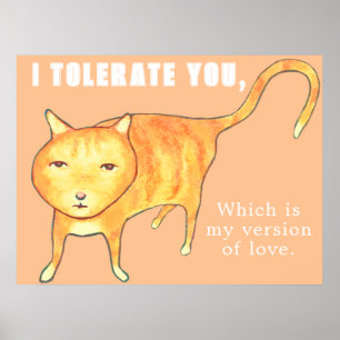 Poster Chat Orange Apathique Tolérant