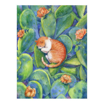 Chat orange dormant parmi les cactus en fleurs Bea