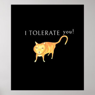 Poster Chat Orange Tolérant Apathique