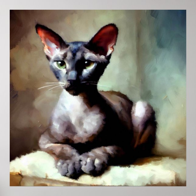 Poster Chat Oriental Shorthair (Devant)
