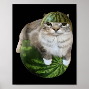 Poster Chat pastèque Mème drôle 