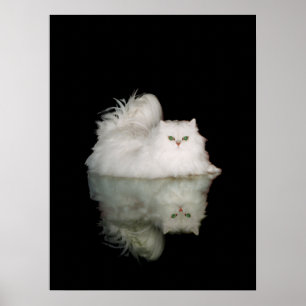 Poster Chat Persan aux Yeux Vert Jade