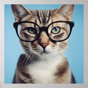 Poster Chat Portant des lunettes