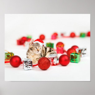 Poster Chat portant le chapeau du Père Noël