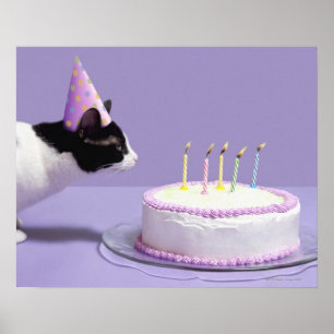 Poster Chat portant un casquette d'anniversaire soufflant