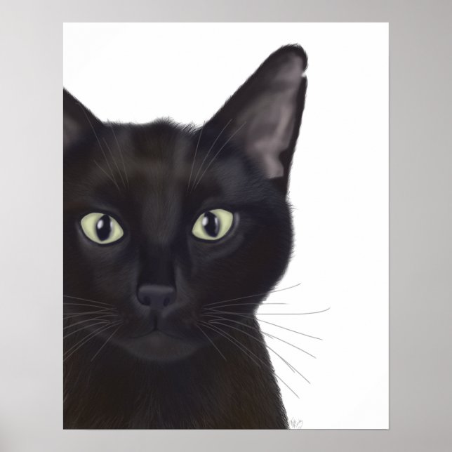 Poster Chat, Portrait de Gus (Devant)