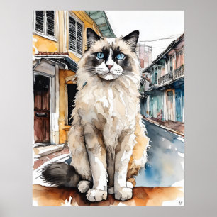 Poster Chat Ragdoll - Art Chat Imprimer