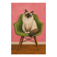 Chat Ragdoll sur Chaise Verte Milieu du Siècle