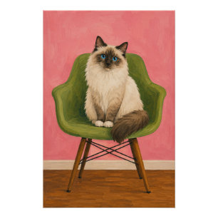 Poster Chat Ragdoll sur Chaise Verte Milieu du Siècle