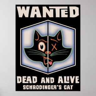 Poster Chat Recherché de Schrodinger