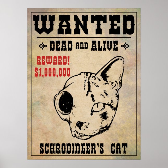 Poster Chat Recherché II de Schrodinger (Devant)
