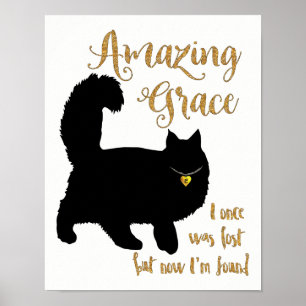 Poster Chat Secouru Grace Extraordinaire