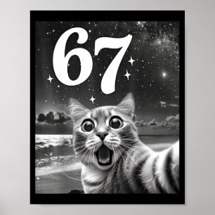 Poster Chat selfie avec 67 mème chats drôles graphique po