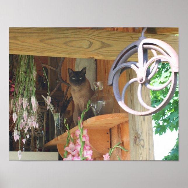 Poster Chat Siamois Assis Sur L'Étagère Animal (Devant)