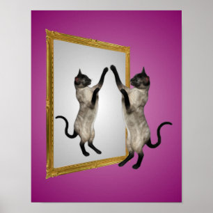 Poster Chat Siamois Dans Un Animal Miroir