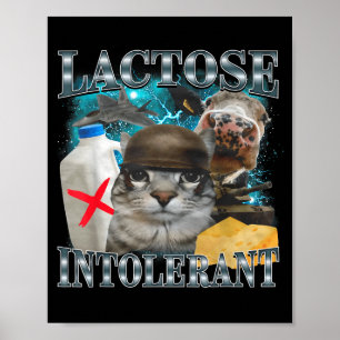 Poster Chat Silly Intolérant au Lactose Citation Drôle Mè