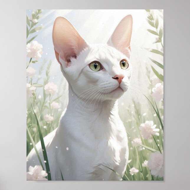 Poster Chat Sphynx blanc et fleurs (Devant)