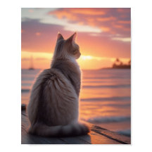 Chat sur une jetée avec un coucher de soleil et un