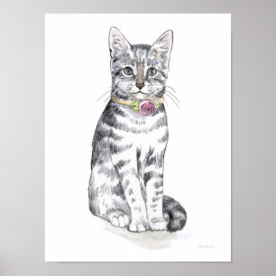 Poster Chat Tabby Fancy