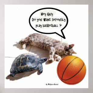 POSTER CHAT, TORTUE ET BASKETBALL