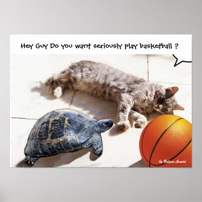POSTER CHAT, TORTUE ET BASKETBALL (Devant)