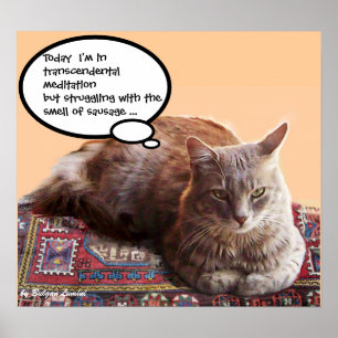 POSTER CHAT TURC EN MÉDITATION TRANSCENDANTALE