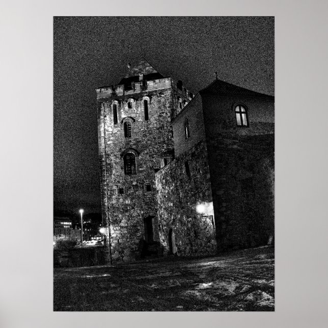 Poster Château à Bergen (Devant)