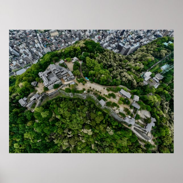 Poster Château de Matsuyama d'en haut (Devant)