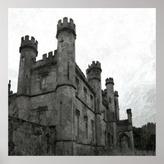 Poster Château gothique